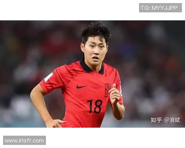 韩国足球明星有哪些值得关注的球员及其成就解析