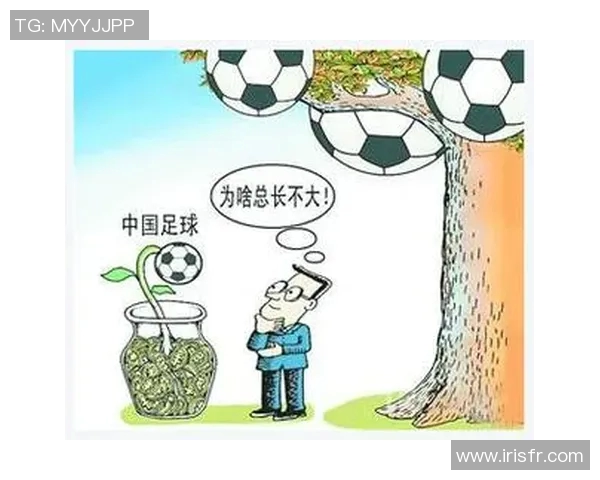 提升中国足球水平的综合建议与发展路径探讨